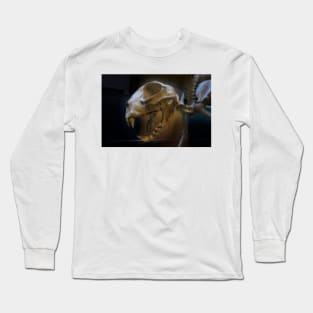 Dinosaur Long Sleeve T-Shirt